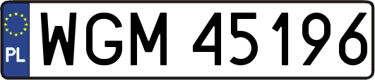WGM45196