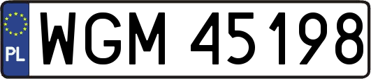 WGM45198