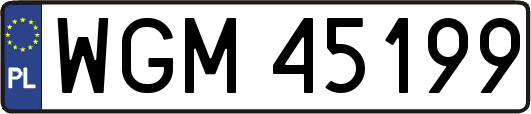 WGM45199