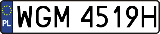 WGM4519H