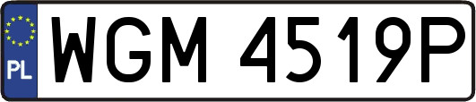 WGM4519P