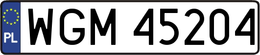 WGM45204