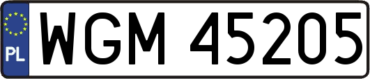 WGM45205