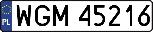WGM45216