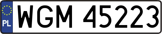 WGM45223