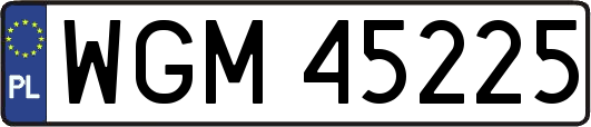WGM45225