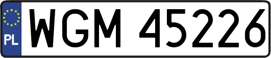 WGM45226