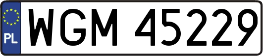 WGM45229