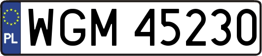 WGM45230