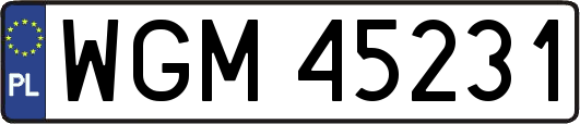 WGM45231