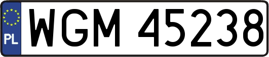 WGM45238