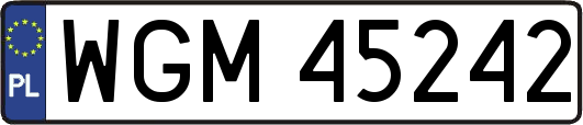 WGM45242