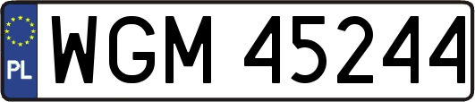 WGM45244