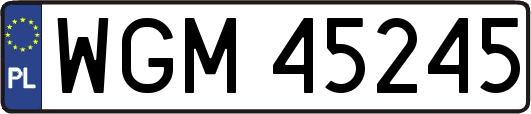 WGM45245