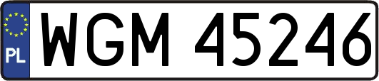 WGM45246