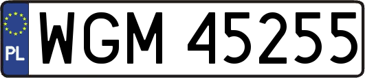 WGM45255