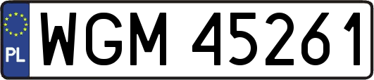 WGM45261
