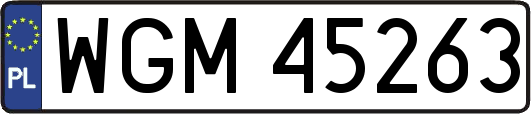 WGM45263