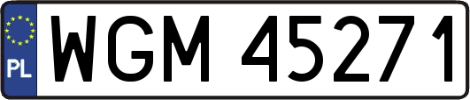 WGM45271