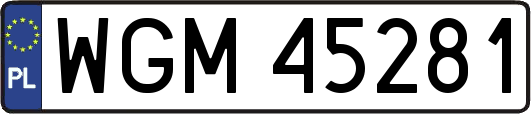 WGM45281