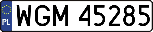 WGM45285