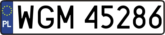WGM45286
