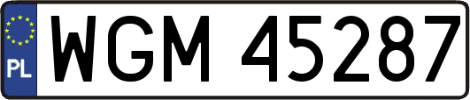 WGM45287