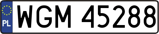 WGM45288