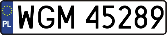 WGM45289