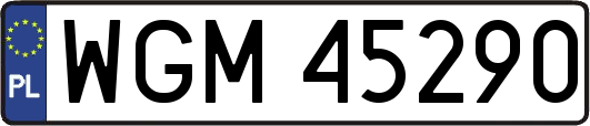 WGM45290