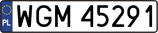 WGM45291