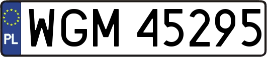 WGM45295