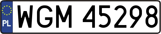 WGM45298