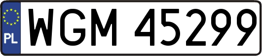 WGM45299
