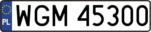 WGM45300