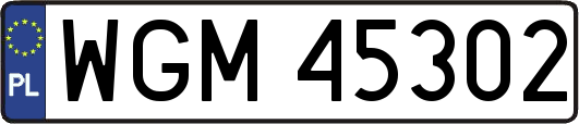 WGM45302