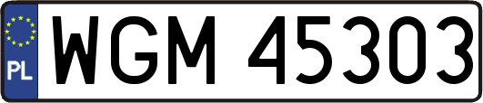 WGM45303