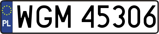 WGM45306