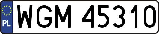 WGM45310