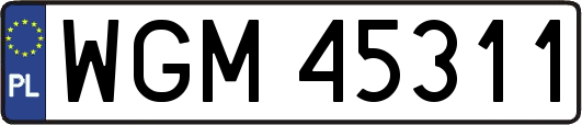 WGM45311