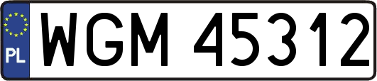 WGM45312