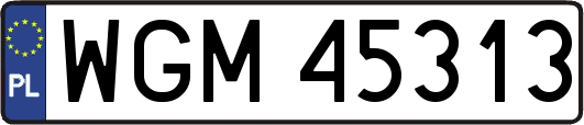 WGM45313