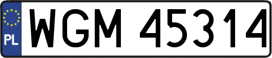 WGM45314