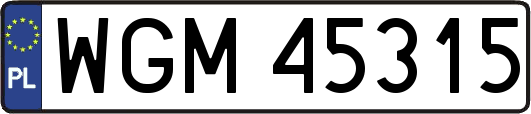 WGM45315