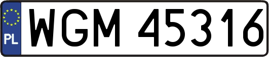 WGM45316