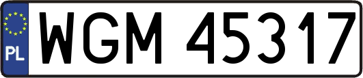 WGM45317