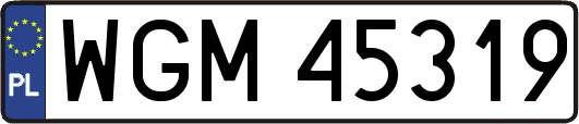 WGM45319