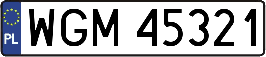 WGM45321