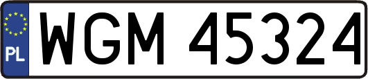 WGM45324