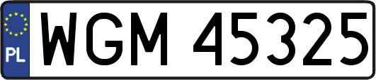 WGM45325